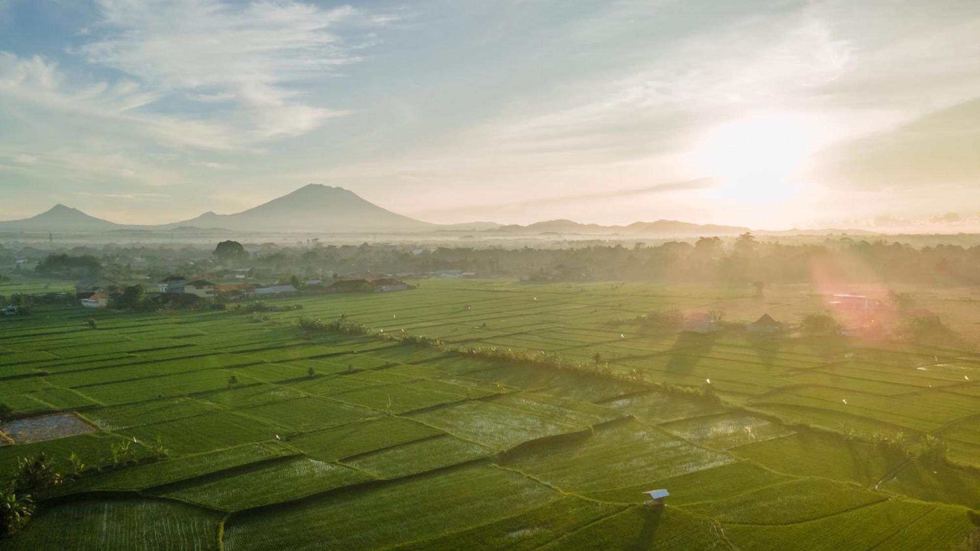Aswanaya Villas Ubud Екстер'єр фото