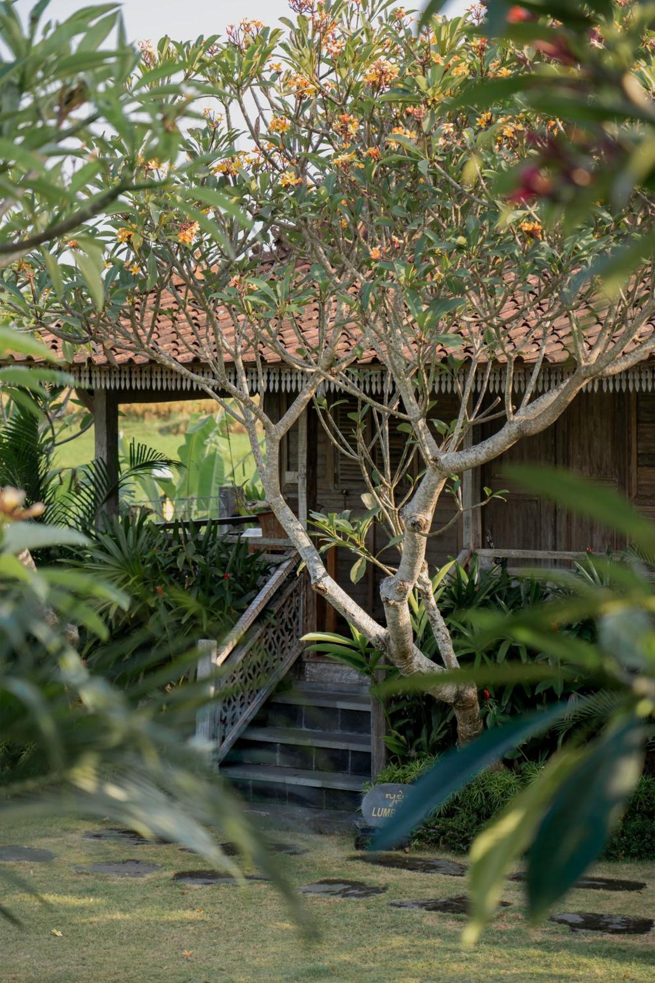 Aswanaya Villas Ubud Екстер'єр фото